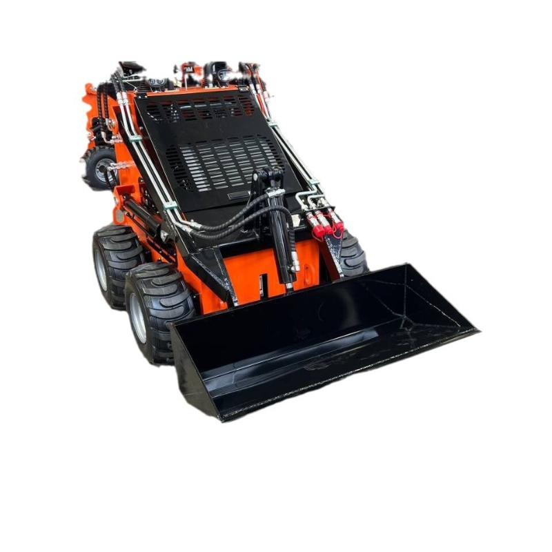 Wheel Loader - Small skid steer loader, double pump